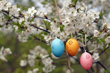 Three decorative Easter eggs hanging on blooming branch.