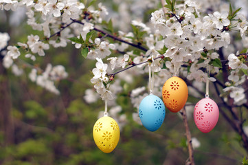Four decorative Easter eggs hanging on blooming branch.