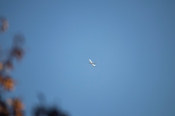 AN airplane is flying from east to west. The sky is perfectly blue.