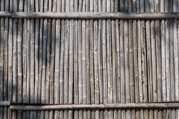 Dry bamboo fence texture or background. Eco natural background concept.