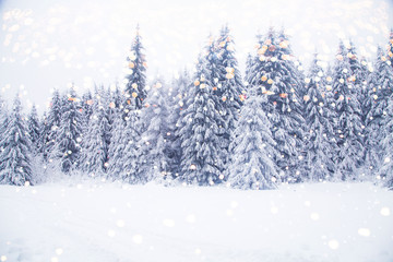 winter wonderland snowy fir trees landscape