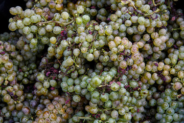 grappes de raisin en vrac