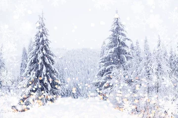 Rolgordijnen winter wonderland snowy fir trees landscape © 2207918