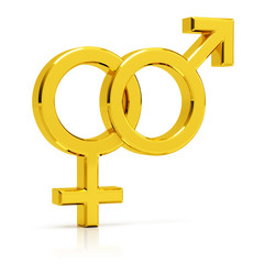 Heterosexual symbol 3d render. Golden heterosexual symbol isolated on white background.