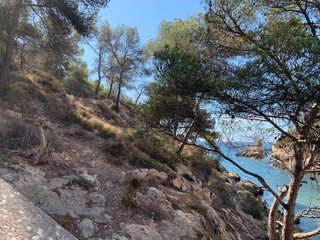 Fototapeta na wymiar Vegetazione su isola, Mallorca