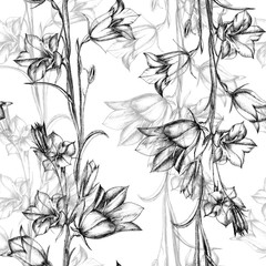 hand drawing made by black liner on white paper. Wild flowers bells, buds, leaves and buds. Summer design of textiles, fabrics, packaging, wallpaper, covers.