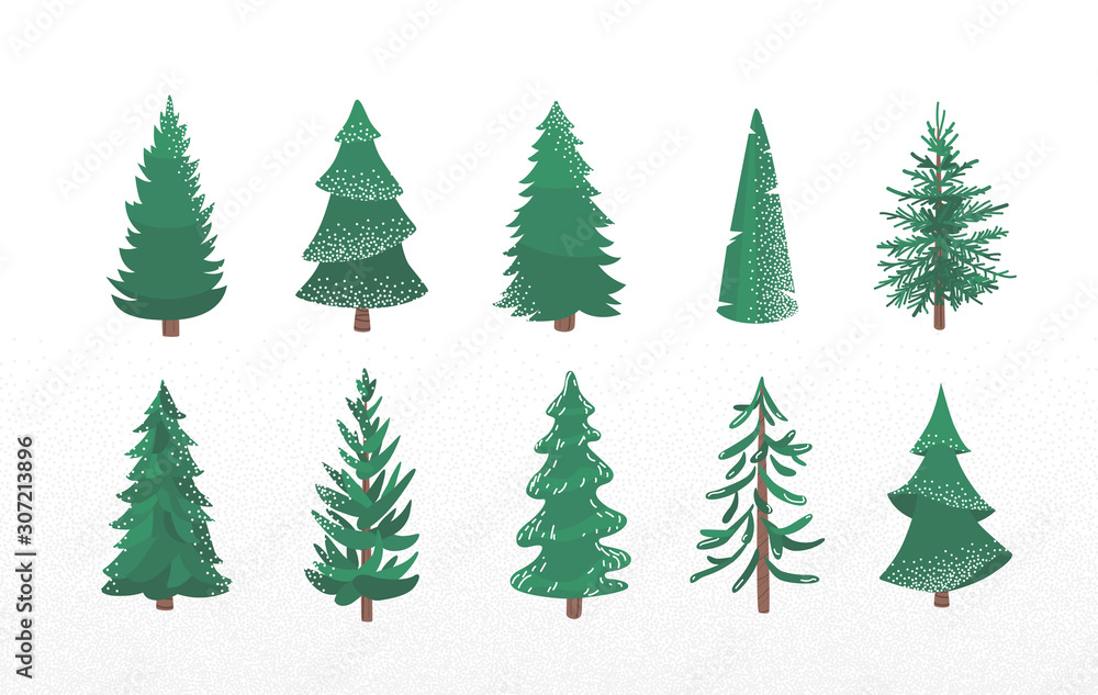 Poster set of fir tree with snow texture. pine and spruce xmas vector illustration isolated on white backgr