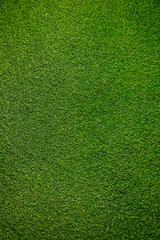 greem artificial grass background texture	 - 307214042