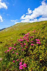 Speiereck - ein Ski und Wandergebiet im schönen Lungau