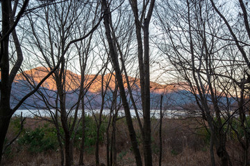 林の中から望む湖