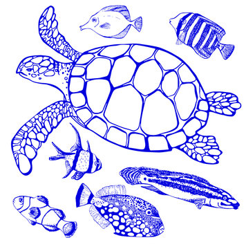 Set of tropical fish and sea turtle on white background. Perfect for invitations, greeting cards, postcard, fashion print, banners, poster for textiles, fashion design. Vector