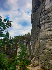 Sandstone rocks and trees in Czech paradise, Bohemian Paradise, Czechia 