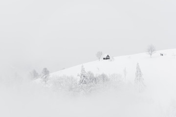 Fototapeta na wymiar Fantastic landscape with snowy house