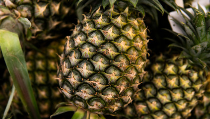 A lot of pineapple fruit on a market in asian country. Texture background from the pineapples. Tropical and exotic fruits. Healthy and vitamin food concept.