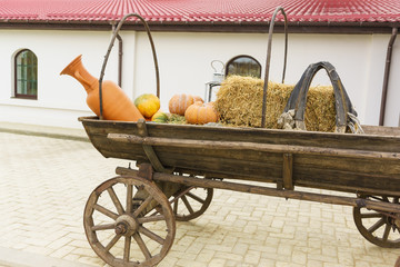 Terracotta jug and orange pumpkins on a cart with wooden wheels. Farm