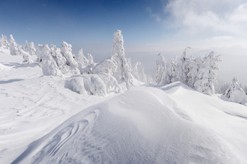 Fantastic winter landscape