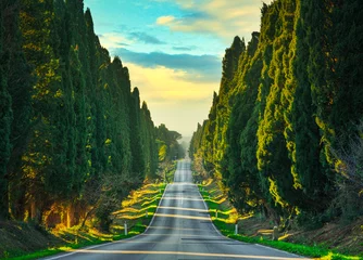 Papier Peint photo autocollant Toscane Bolgheri famous cypresses tree straight boulevard. Maremma, Tuscany, Italy