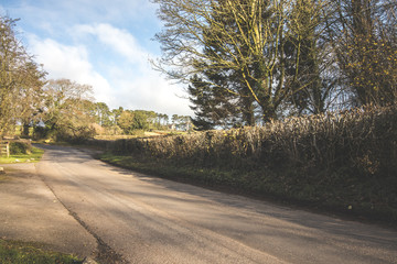 Fototapeta premium Sweeping Country Road