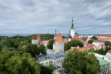 Fototapeta premium View of the center of old Tallinn. Observation deck. Spire. Estonia.