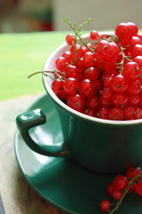 red berries in a cup