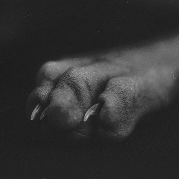 Gray-scale photography of dog's paw
