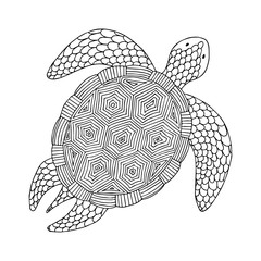 Turtle. Hand drawn coloring page. Stock vector illustration.