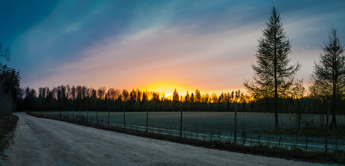Fototapeta na wymiar sunset in park