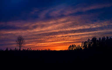 sunset in park