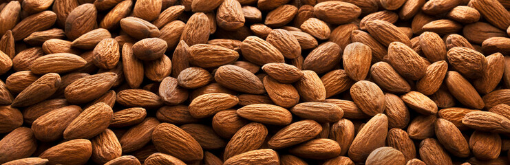 Almond background panorama. Side view. Banner.