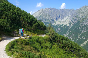 Fototapeta premium tourist walks along path in the mountains