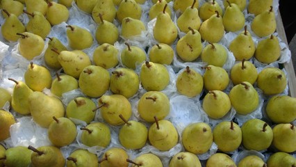 Pears