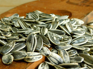 Sunflower, high energy seeds and rich in vitamin E