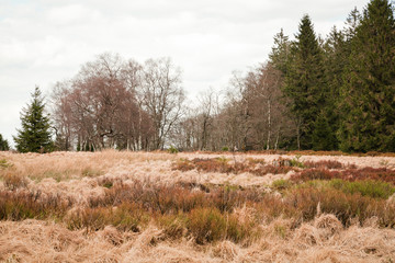 Obraz premium The High Fens