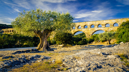 The Pont du Gard, an ancient Roman aqueduct, crossing the  river Gardon in Southern France with an olive tree in the foreground