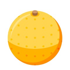 Whole orange icon. Isometric of whole orange vector icon for web design isolated on white background