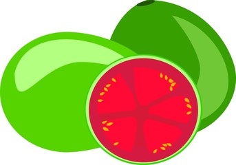 guava isolated