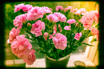 Obraz na płótnie Canvas Pink bush carnation, beautiful bright bouquet