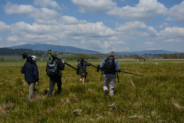 Group of birdwatchers leaving a sedge floodplain in south Poland. They are carrying scopes on tripods, binoculars and cameras.