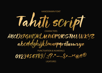 Textured calligraphy hand drawn vector alphabet. Rough grunge font. Latin golden script typeset with letters and numbers.