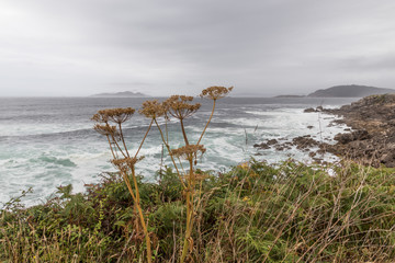 Fototapeta na wymiar view of the coast of Galicia