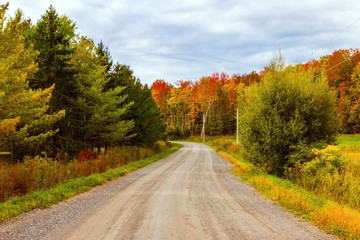 road in autumn