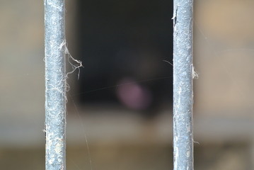 spider web on bars