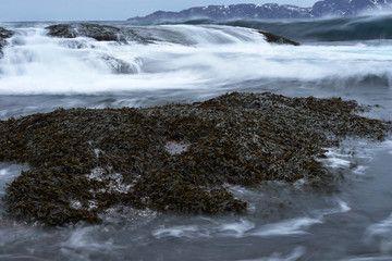 Arctic, Russia, Barents sea
