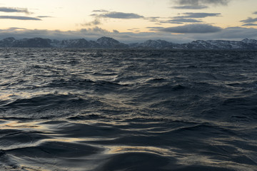 Fototapeta na wymiar Arctic, Barents sea, Russia