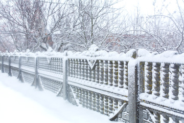 Figured fence in the snow. Harsh winter