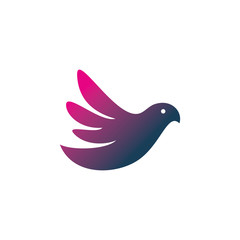modern color bird logo design