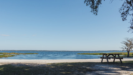 The sandy beach of Lake Louisa State Park near Orlando, Florida.