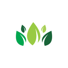 group leaf grass logo design