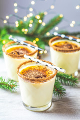 Eggnog with cinnamon and nutmeg for Christmas and winter holidays. Homemade eggnog in glasses on wooden table surface, shallow depth of the field, copy space.