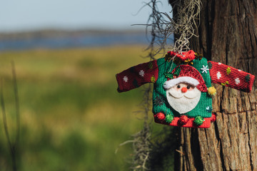 Santa's ugly sweater in the marshes of central Florida.  Christmas theme.